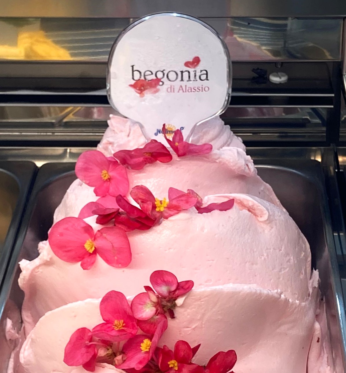 gelato begonia di alassio