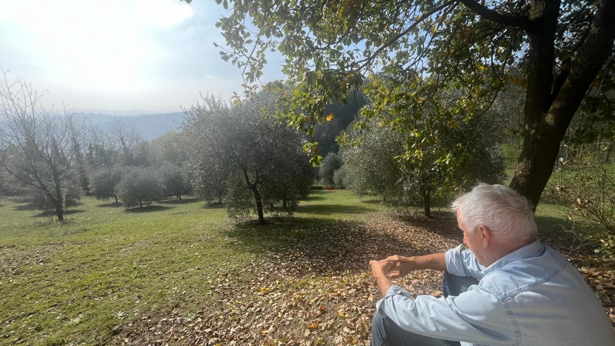 Uomo osserva una distesa di ulivi De.Co. di Murisengo Monferrato