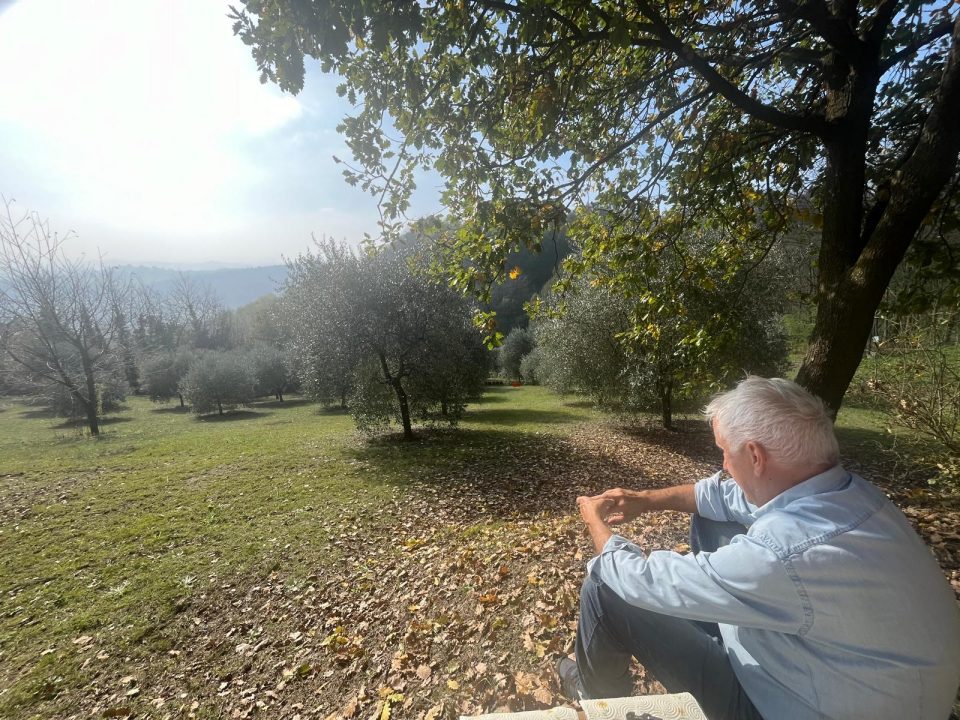 Uomo osserva una distesa di ulivi De.Co. di Murisengo Monferrato